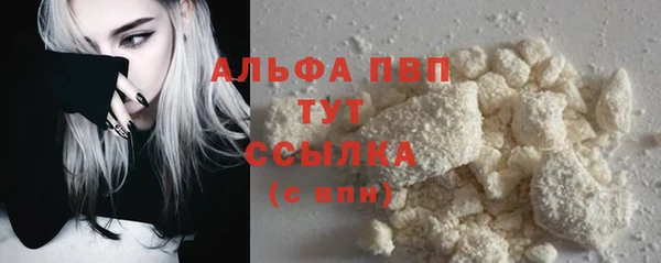 прущие грибы Балабаново