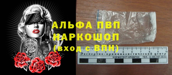 прущие грибы Балабаново